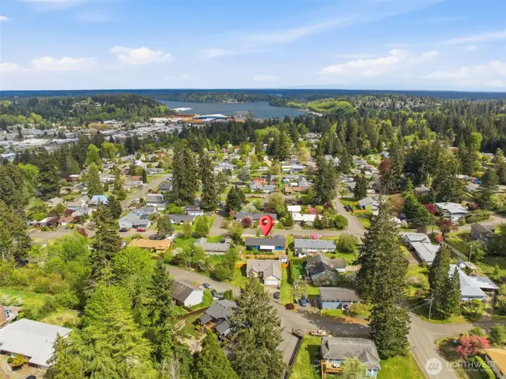 Aerial View of Residence and Neighborhood.