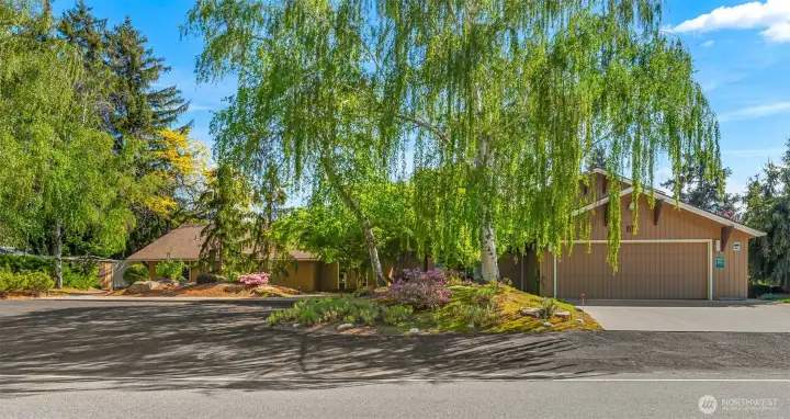 Welcome Home!  Custom Mid Century Elegance