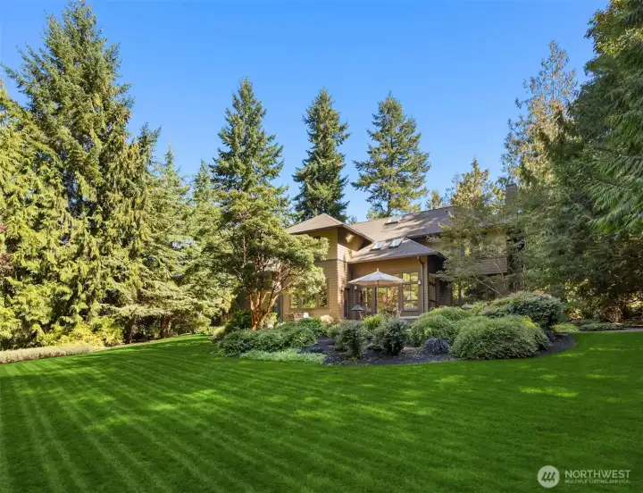 Private sunny backyard with tree Protection Area protecting woodland views