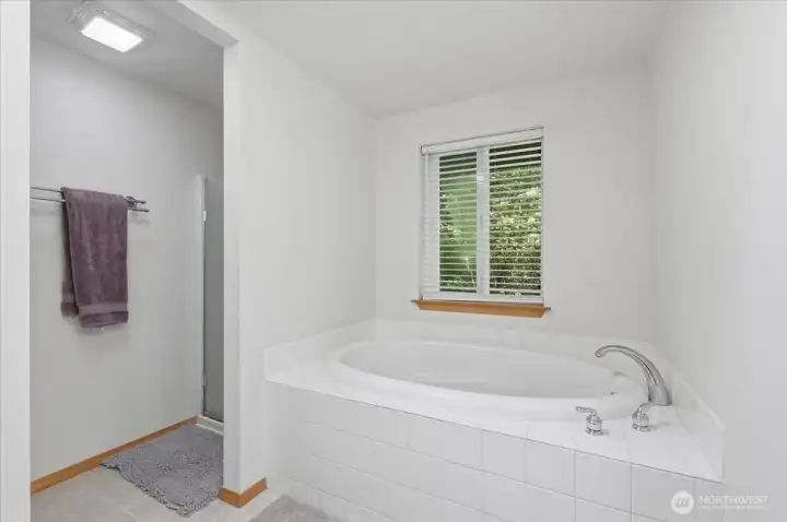 Primary Bathtub Primary Bathtub