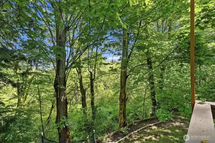 Wild Life views everyday Wild Life views everyday