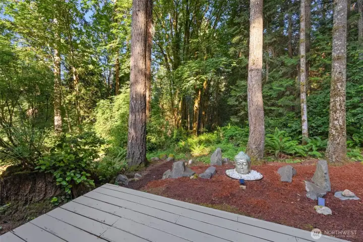 Beautiful, serene wooded backyard with large private deck.