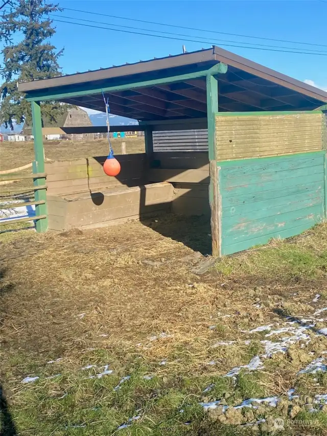 Loafing shed