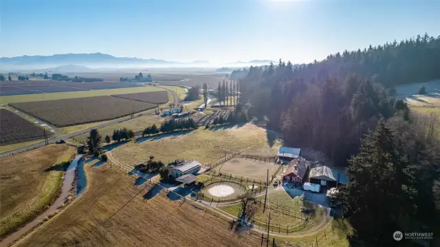 Gorgeous Mount Baker and territorial views!