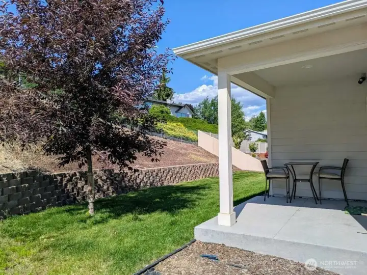 Low maintenance backyard