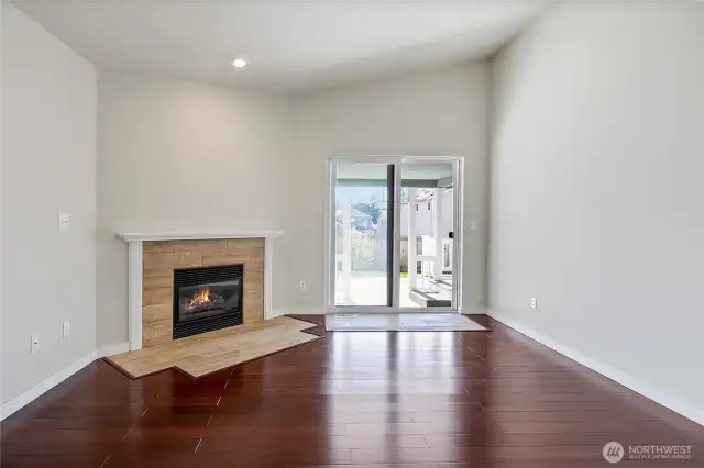 Gas Fireplace with Blower
