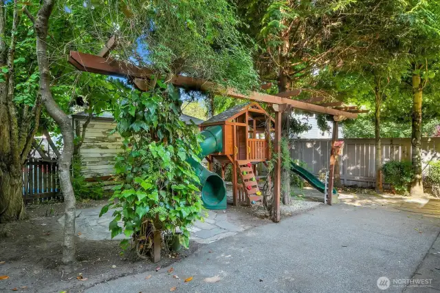 easy care backyard