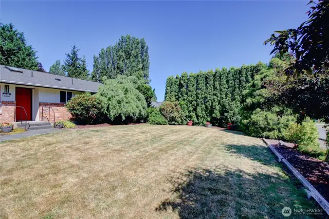 Large front yard