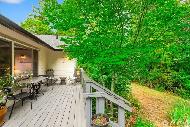 Back deck upgraded to Trex decking