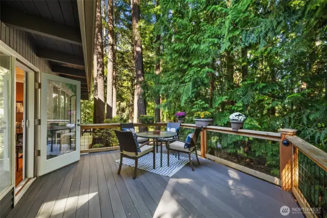 Entertaining balcony off the dining room. Can access from the side yard also.