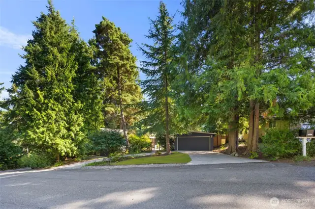 Huge corner lot with amazing privacy.
