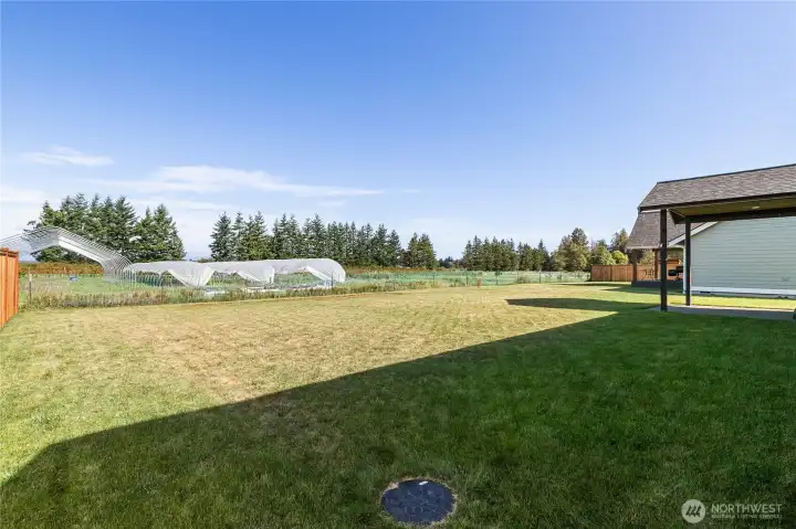 Farmer has gardens behind the home
