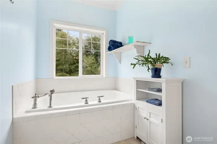 Jacuzzi tub in main bathroom