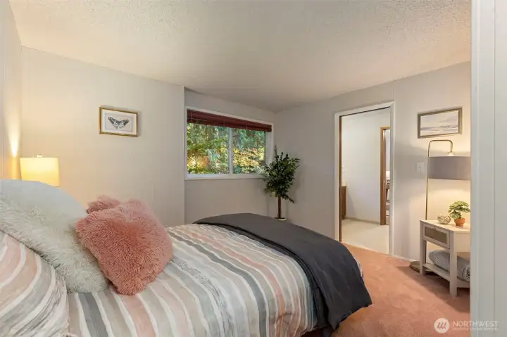 Downstairs 2nd bedroom