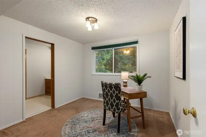 Downstairs 3rd bedroom