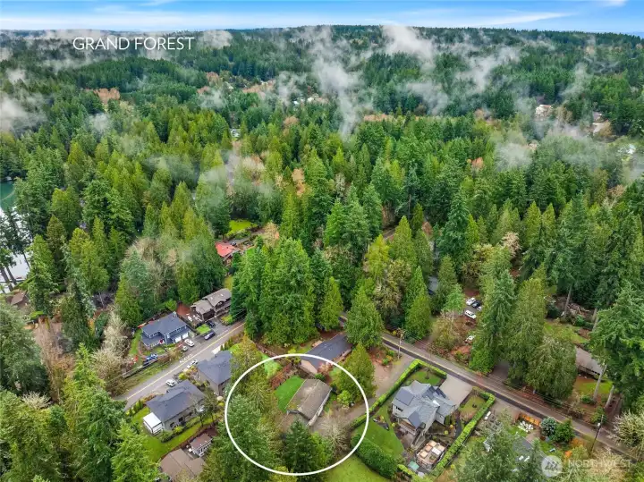 Moments to the Grand Forest and Gazzam Lake Trails.