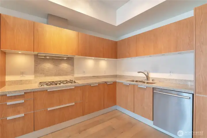 Kitchen w/ sleek Italian Pedini cabinetry