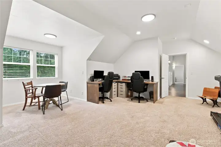 Upper level bonus room Upper level bonus room
