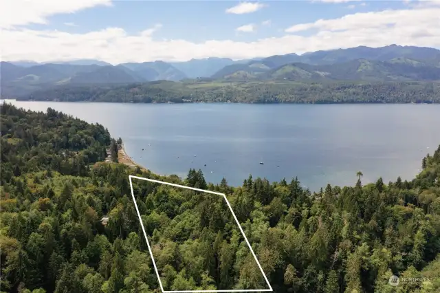 On the hill looking at that famous Hood Canal and Olympic Mountain view.