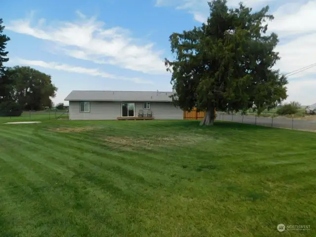 Backyard center looking north