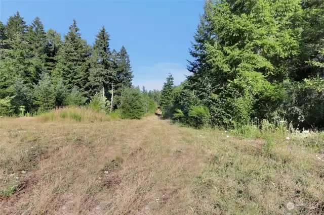 Entry road to home site - looking East from property to 36th Ave