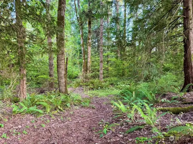 One of the lovely riding trails on this property.