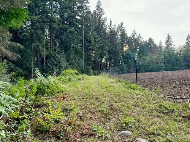 View of forest and pasture