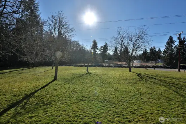 Sunny open space for garden, light and Western Exposure.