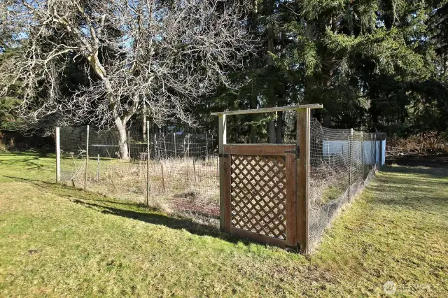 Garden space has raspberries, strawberries, blackberries and rhubarb!