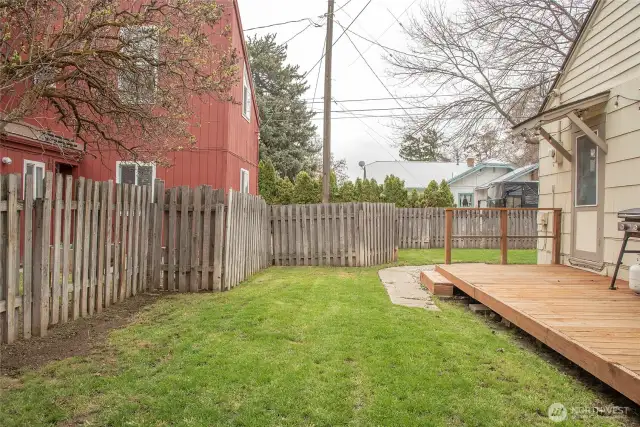 302 back yard