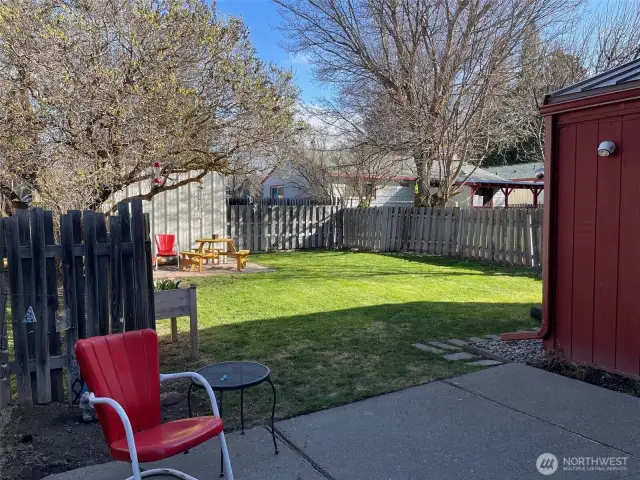 ADU Patio & Yard