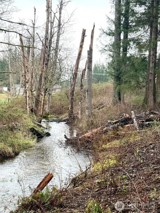 2 creeks on the property that make a fun spot for wading in the summer