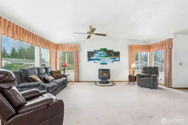Pellet stove in spacious living room