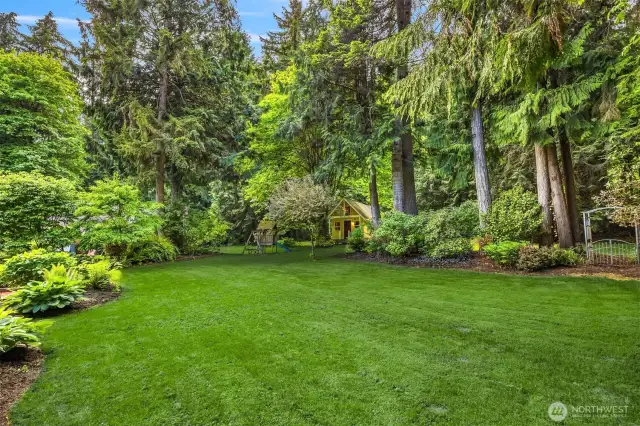 Manicured Yard