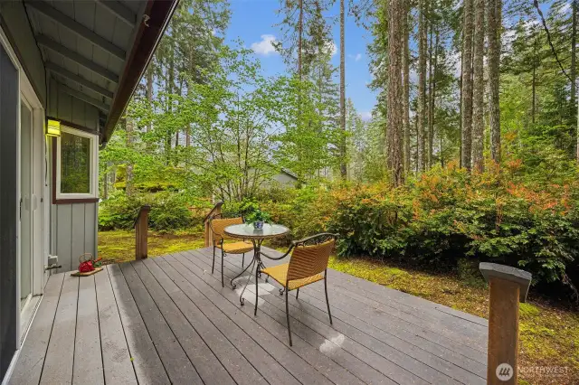 Front deck, w/ low maintenance composite deck!