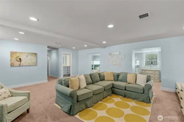 Lower level media/family room