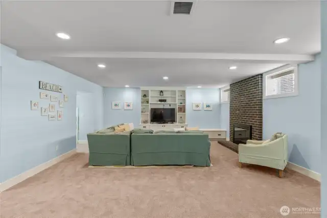 Lower level media/family room
