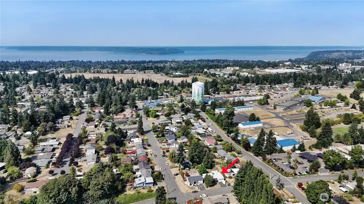 Aerial View of the neighborhood. Note how close Puget Sound is.