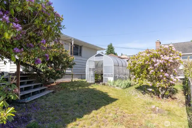 Green house in side yard stays.