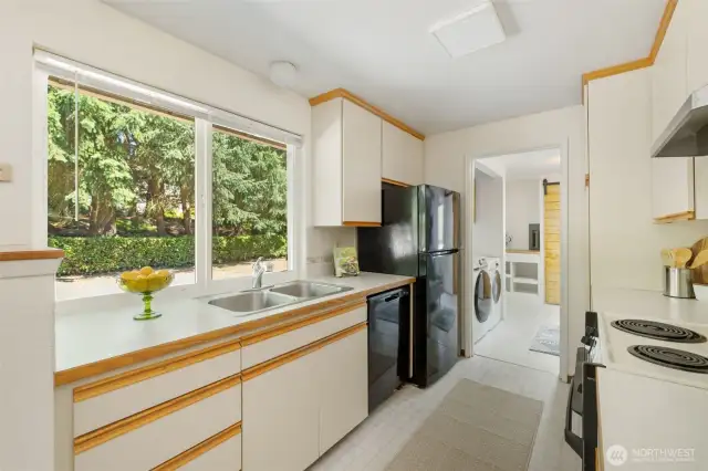 Large kitchen window overlooking backyard.