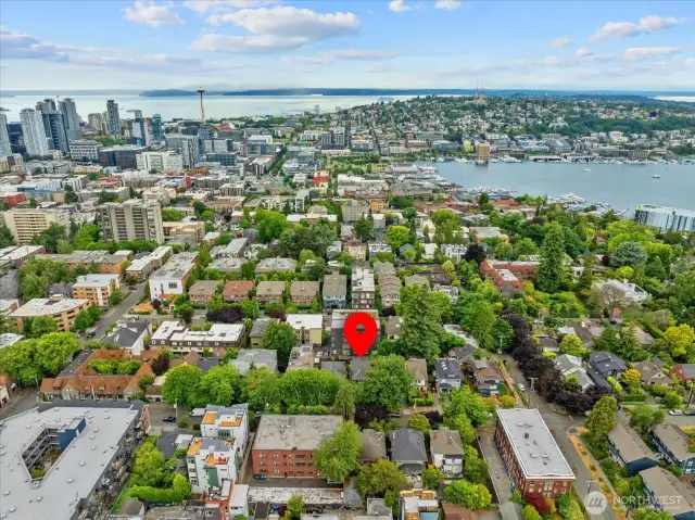 Located on a quiet tree lined street of coveted North Capitol Hill, walking distance to South Lake Union and Volunteer Park.