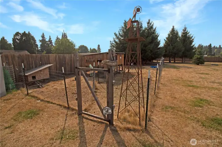 The fully fenced chicken coop!