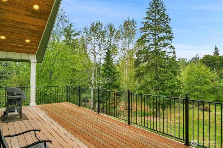 The Trex deck is huge and overlooks the peaceful territorial view.  The barbecue is plumbed for gas (propane)