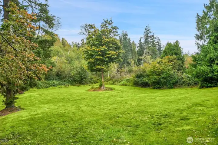 Another view of the lower acreage