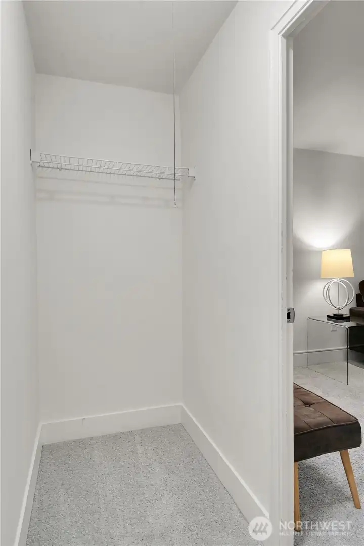 Massive storage closet off the living room.