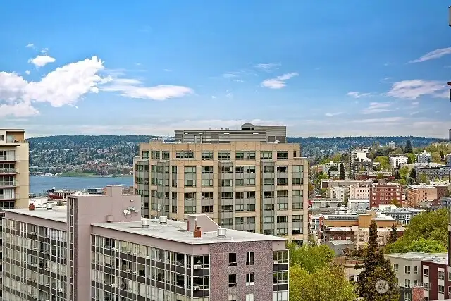 Rooftop deck views.