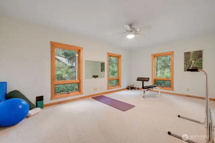 Expansive bonus room, being used as a workout space--would be perfect for studio, office or even guest space!