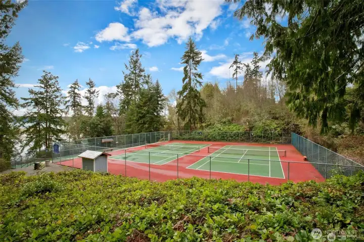 Tennis anyone?