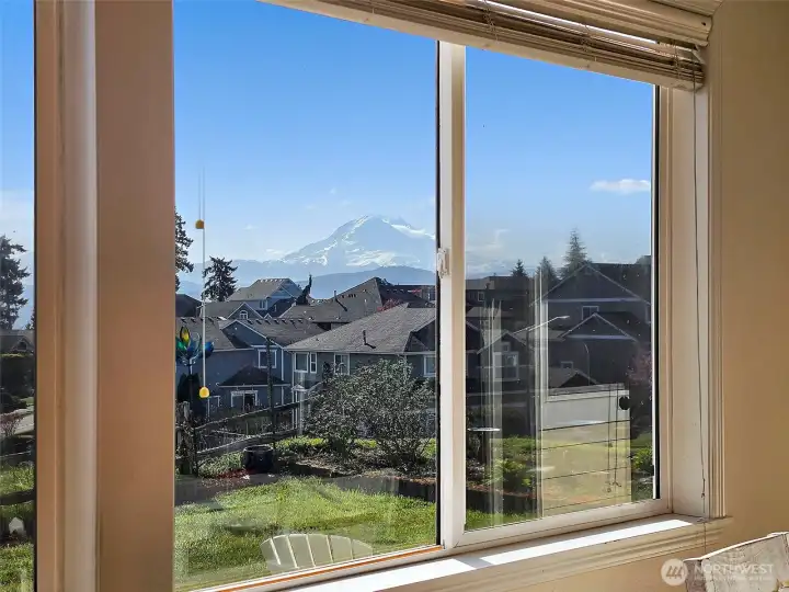 Stunning views of Mt Rainier from living room.