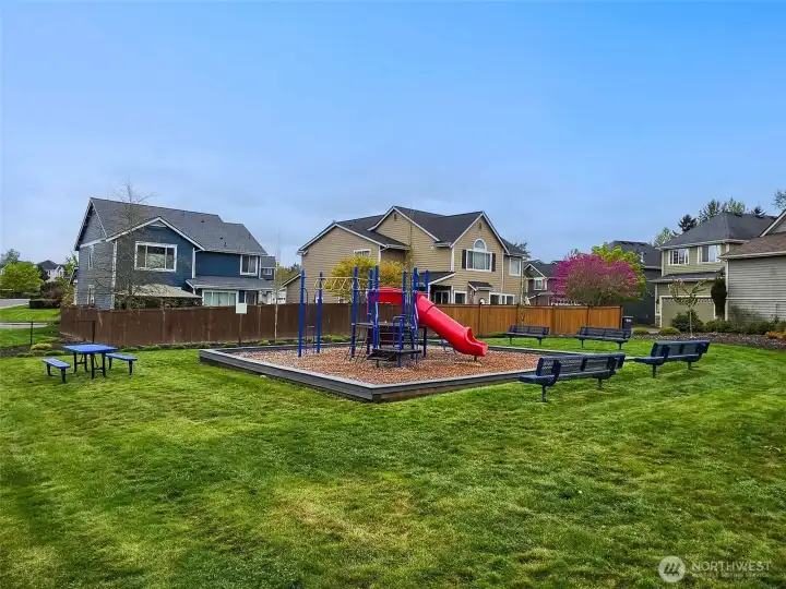 Community Playground